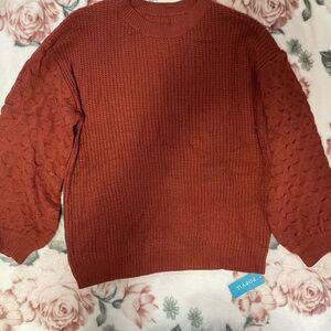 Cozy Rust Sweater with Textured Sleeves